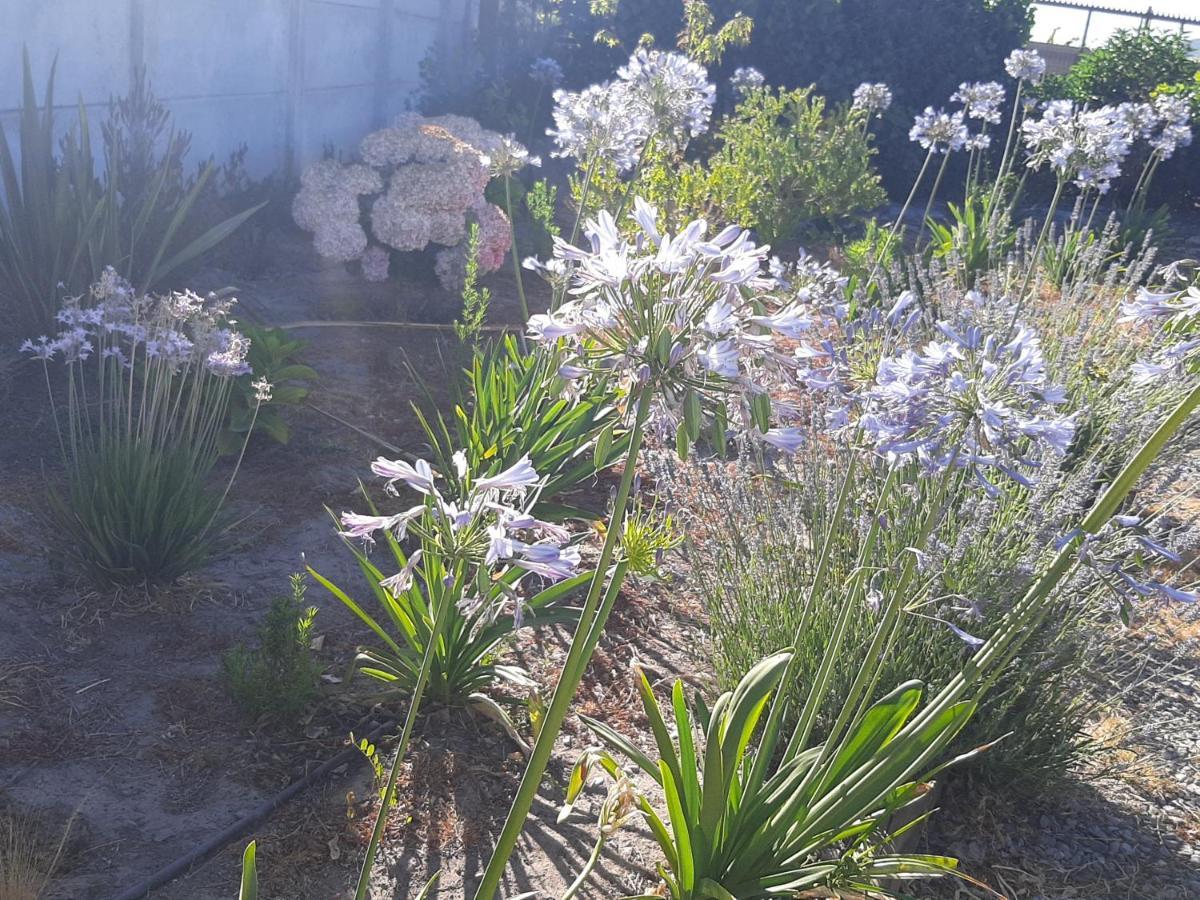 Cabanas Reina Margarita Santa Cruz Dış mekan fotoğraf